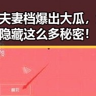 国产夫妻档爆出大瓜，竟然隐藏这么多秘密！