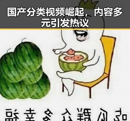 国产分类视频崛起,内容多元引发热议