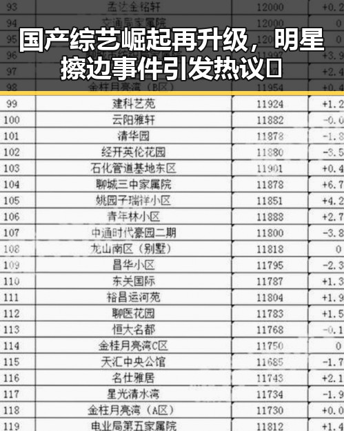 国产综艺崛起再升级,明星擦边事件引发热议🔥
